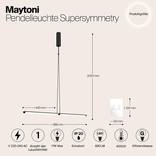 Подвесной светильник Supersymmetry P096PL-L11BK