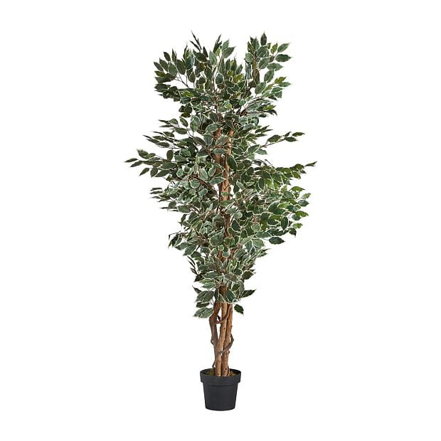 Искусственное растение FICUS