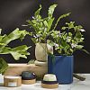 Превью Свеча ароматическая sandalwood, bergamot & citrus из коллекции edge, бежевый, 30 ч