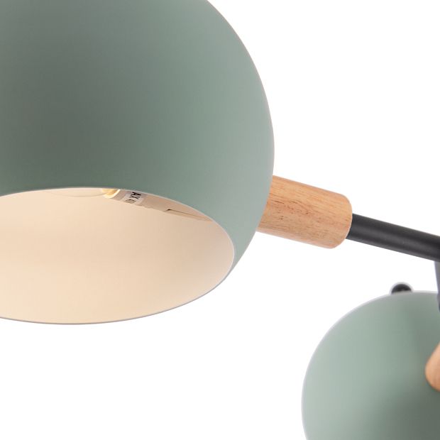 Потолочный светильник Trisha FR5032CL-03B