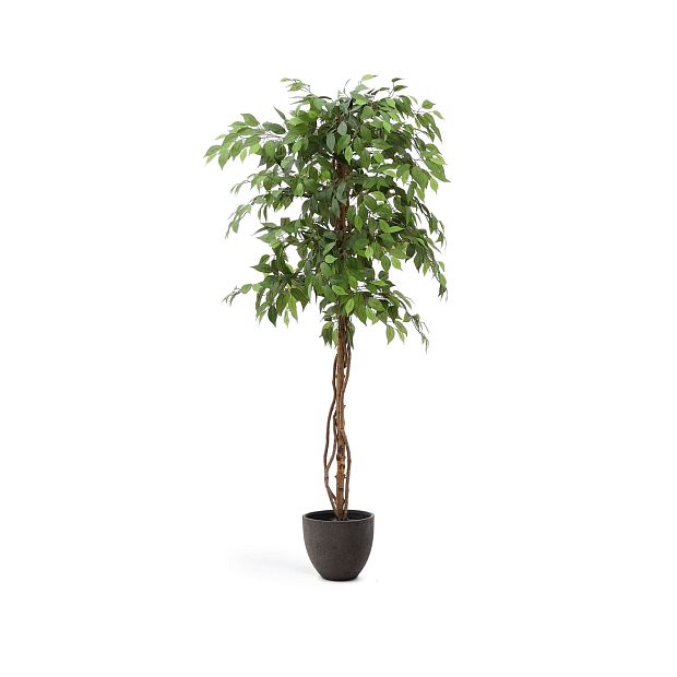 Ficus Искусственное дерево фикус в черном горшке 180 см