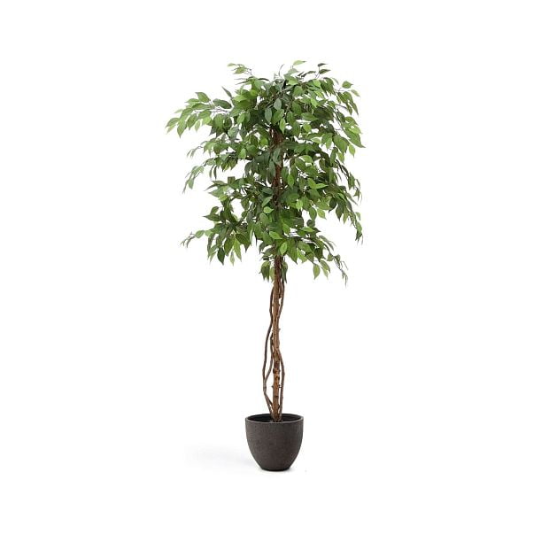 Ficus Искусственное дерево фикус в черном горшке 180 см