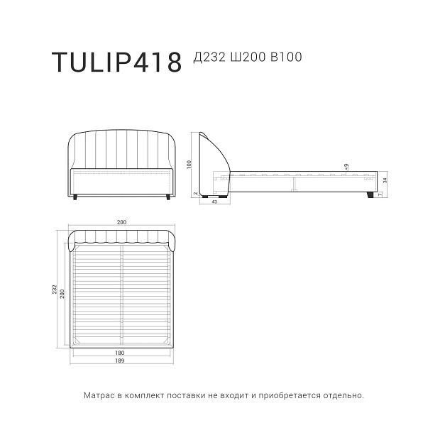 кровать TULIP 418 Венге бук, Gravitacia 12