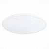 Превью Светильник настенно-потолочный Белый LED 1*48W 4000K 4 320Lm Ra>90 120° IP20 D600xH26 1