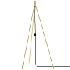 Превью Штатив напольный Floor Tripod Brushed Brass