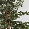 Превью Искусственное растение FICUS