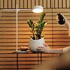 Превью GoGrow Table Lamp - белый