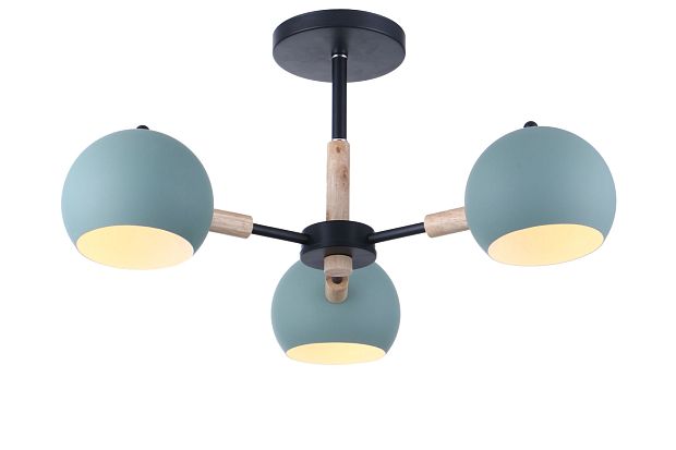 Потолочный светильник Trisha FR5032CL-03B