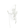 Превью Настенный светильник Monkey Lamp Outdoor Hanging Right