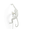 Превью Настенный светильник Monkey Lamp Outdoor Hanging Right