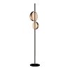 Превью Торшер Floor lamp 10728F black/gold