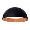 Превью Потолочный светильник C0207-500A Black and Wood C0207-500A black/wood