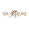 Превью Потолочный светильник Isabella FR5095CL-06G