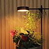 Превью GoGrow Floor Lamp - черный