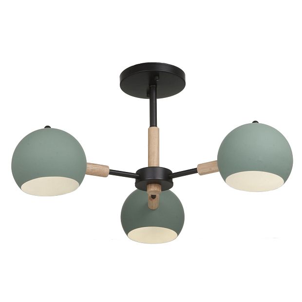 Потолочный светильник Trisha FR5032CL-03B