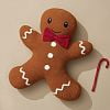 Превью Подушка вязаная classy gingerbread из коллекции new year essential, 40х50 см