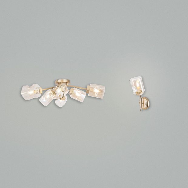 Потолочный светильник Isabella FR5095CL-06G