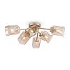 Превью Потолочный светильник Isabella FR5095CL-06G